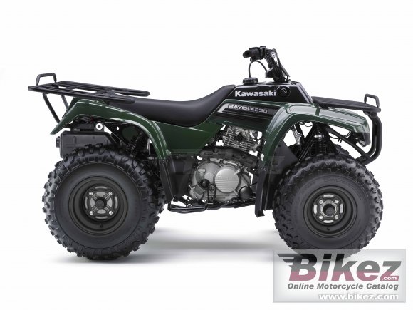 2009 Kawasaki Bayou 250 photo